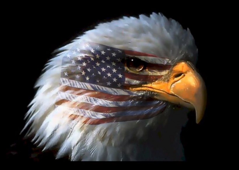 Eagle Eye On You!