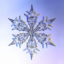Flake